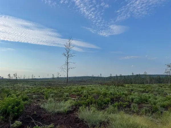 a view of a green field