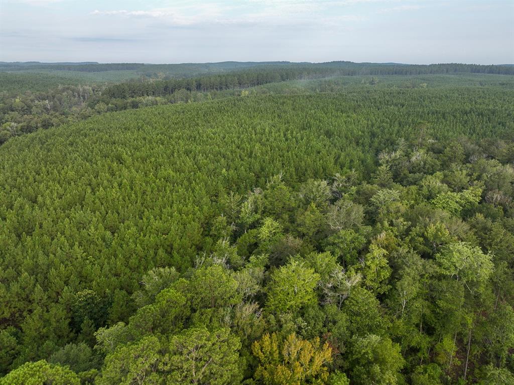 1 Red Rock Road Robeline, LA 71469 - Photo 13 of 13 a view of a lush green outdoor space with a lake view