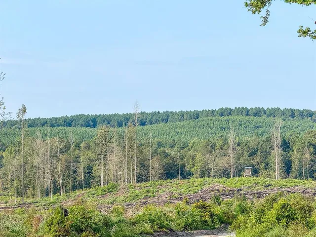 a view of a lush green outdoor space with a lake view and mountain view