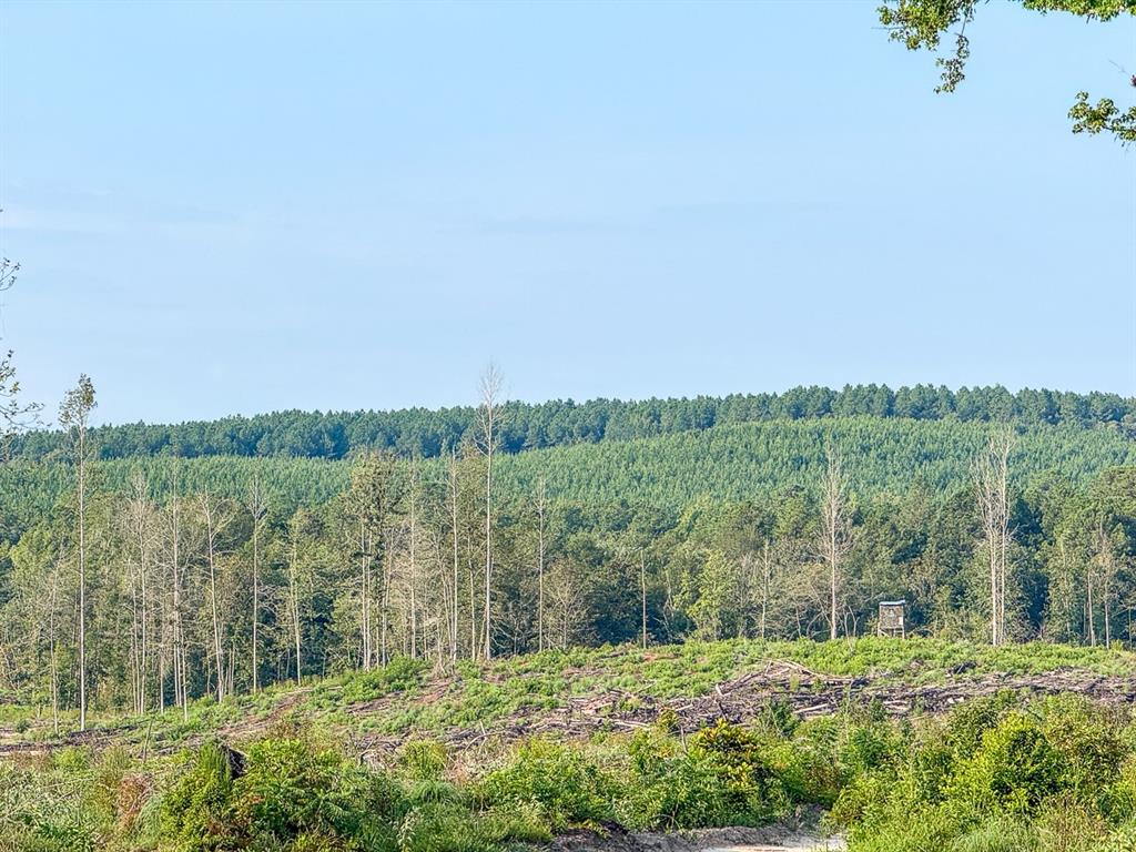 1 Red Rock Road Robeline, LA 71469 - Photo 4 of 13 a view of a lush green outdoor space with a lake view and mountain view