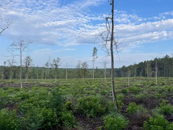 a view of a park