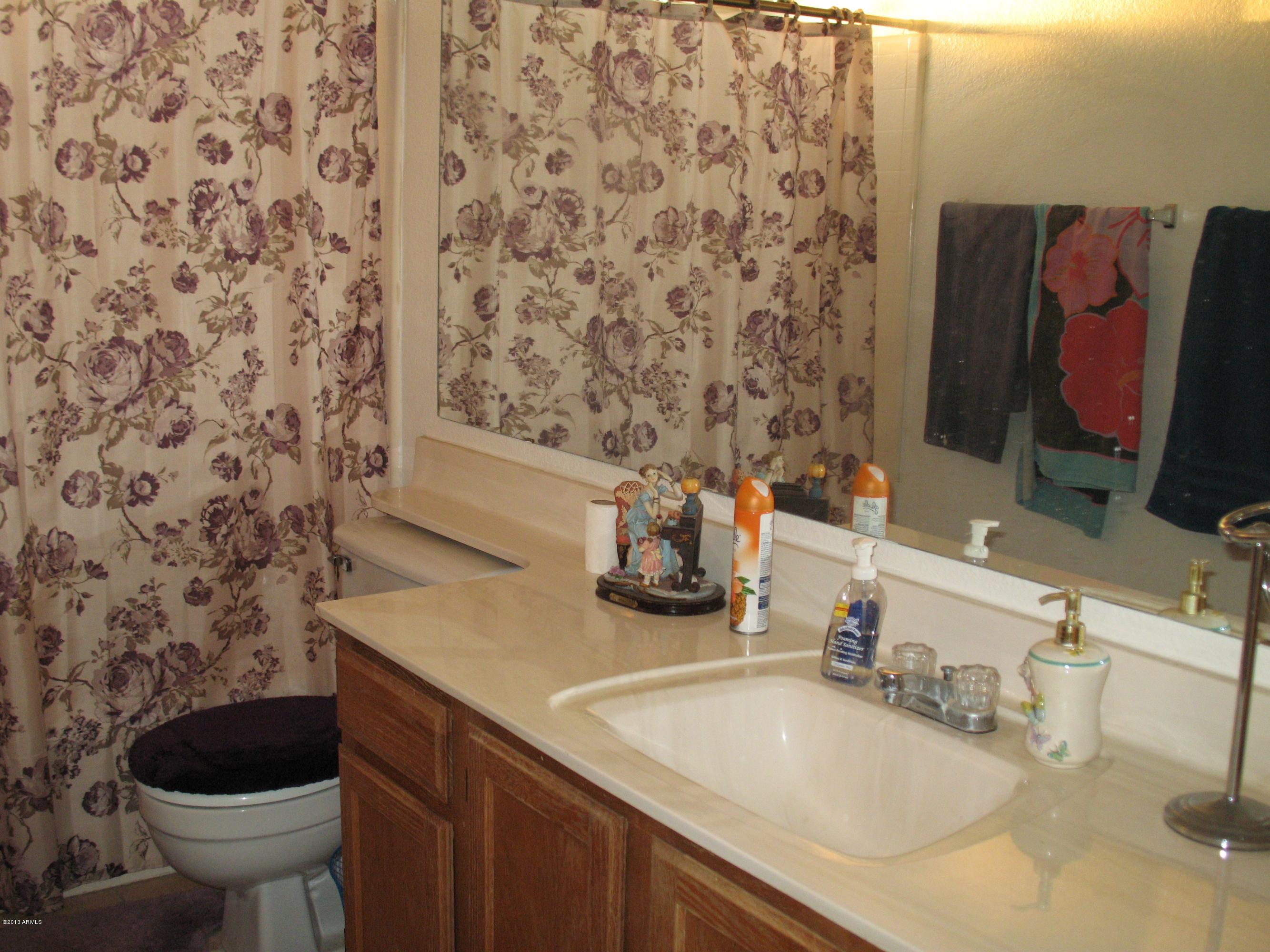 7921 West Charter Oak Road Peoria, AZ 85381 - Photo 12 of 16 hall bath