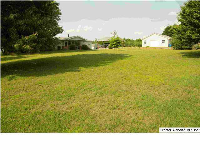 465 Jones Chapel Loop Springville, AL 35146 - Photo 28 of 28