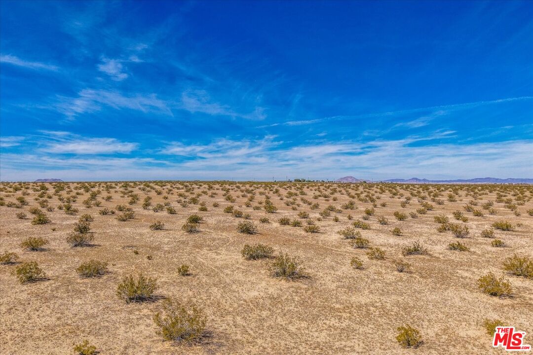 1 Mile Square Road Joshua Tree, CA 92252 - Photo 6 of 15