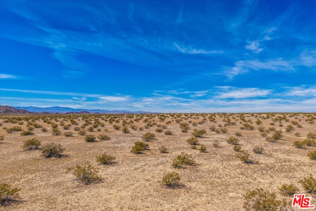 1 Mile Square Road Joshua Tree, CA 92252 - Photo 7 of 15