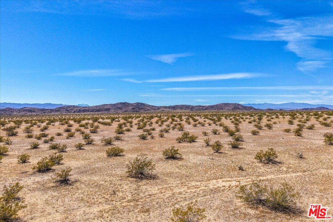 1 Mile Square Road Joshua Tree, CA 92252 - Photo 8 of 15