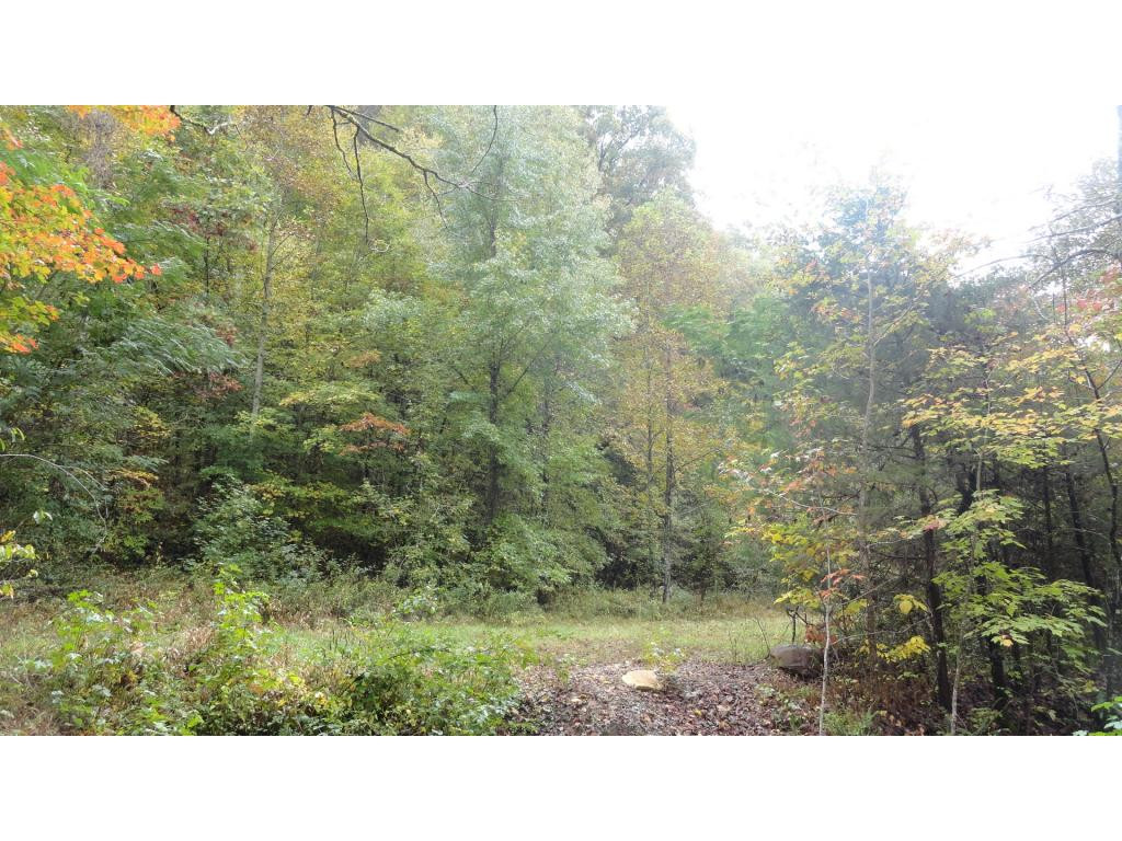 1582 Back Valley Road Blackwater, VA 24221 - Photo 23 of 24 WOODS ACROSS THE CREEK