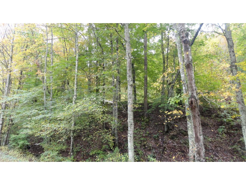1582 Back Valley Road Blackwater, VA 24221 - Photo 24 of 24 WOODS OUT FROM THE HOUSE