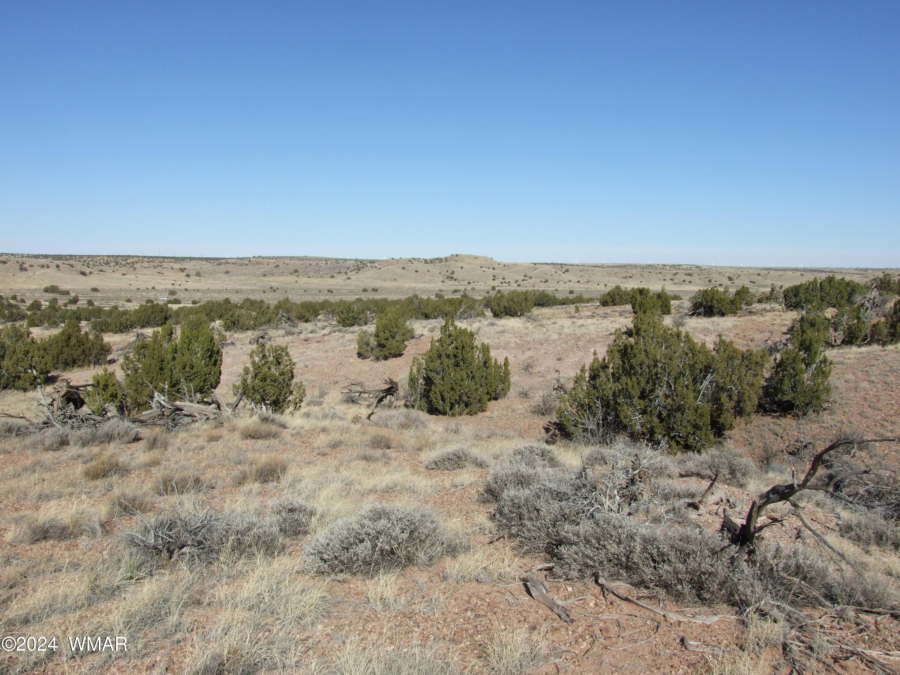 032 West Snowflake Az 85937 Snowflake, AZ 85937 - Photo 2 of 5 DSCF8751