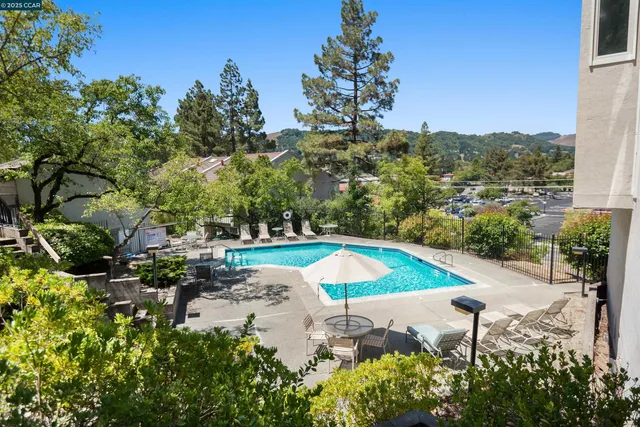 a view of a swimming pool with a yard and plants