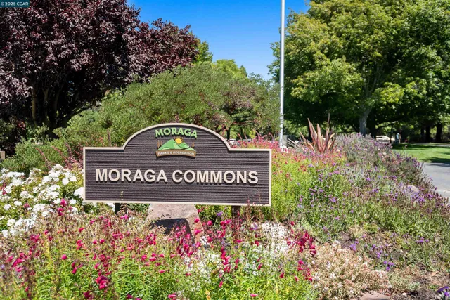 a sign that is sitting in front of flowers