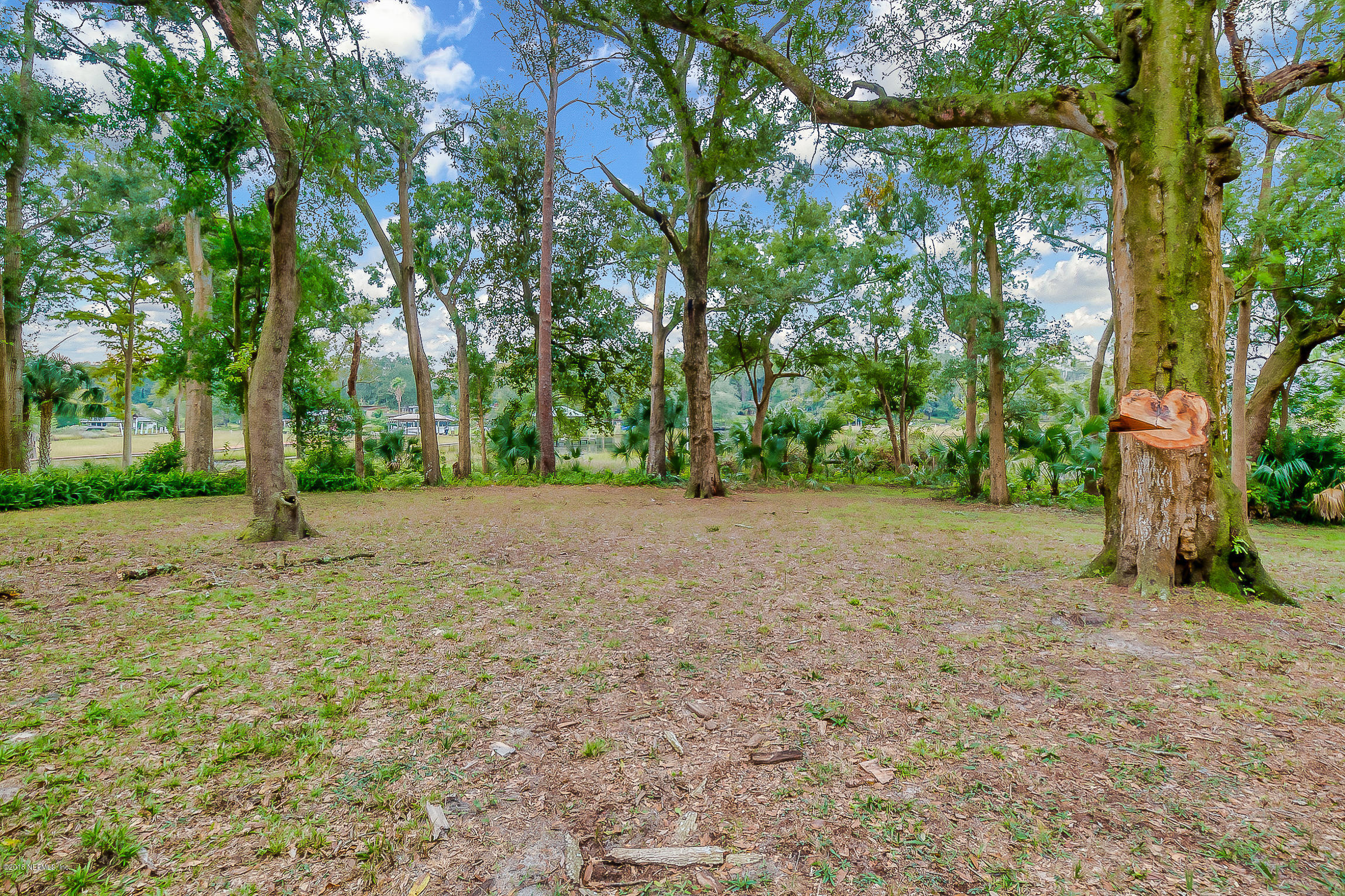 655 Mickler Road Jacksonville, FL 32211 - Photo 9 of 47 sjrp-9