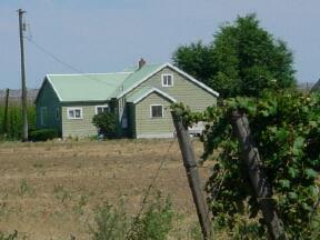 5490 Campbell Road Wapato, WA 98951 - Photo 3 of 5 a view of a house with a tree and plants