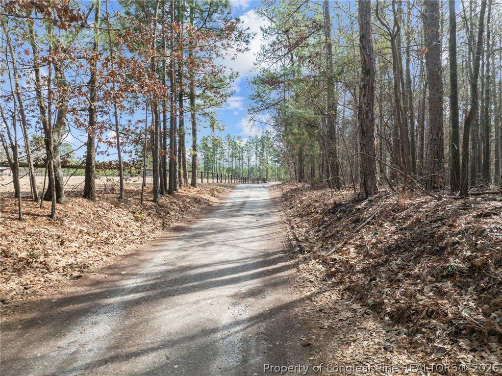 690 Poole Road Raeford, NC 28376 - Photo 10 of 12