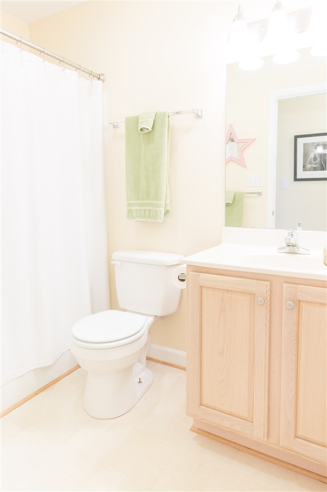 18 King Richard Road Waynesboro, VA 22980 - Photo 30 of 31 a bathroom with a toilet a sink and a mirror