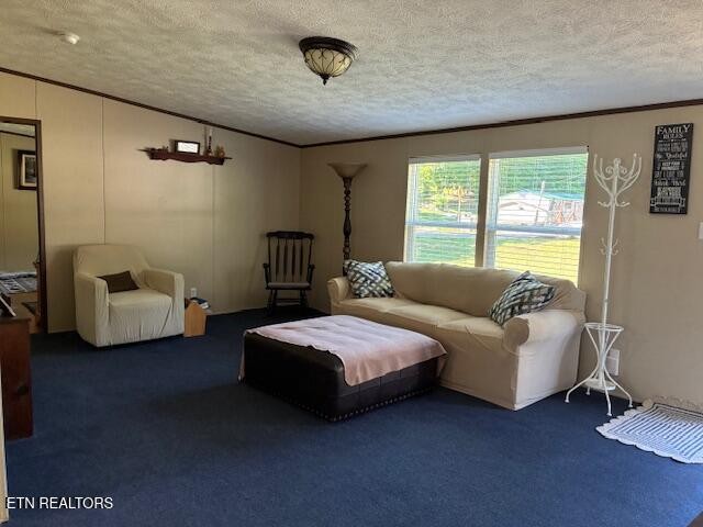 4430 Douglas Dam Road Kodak, TN 37764 - Photo 4 of 30
