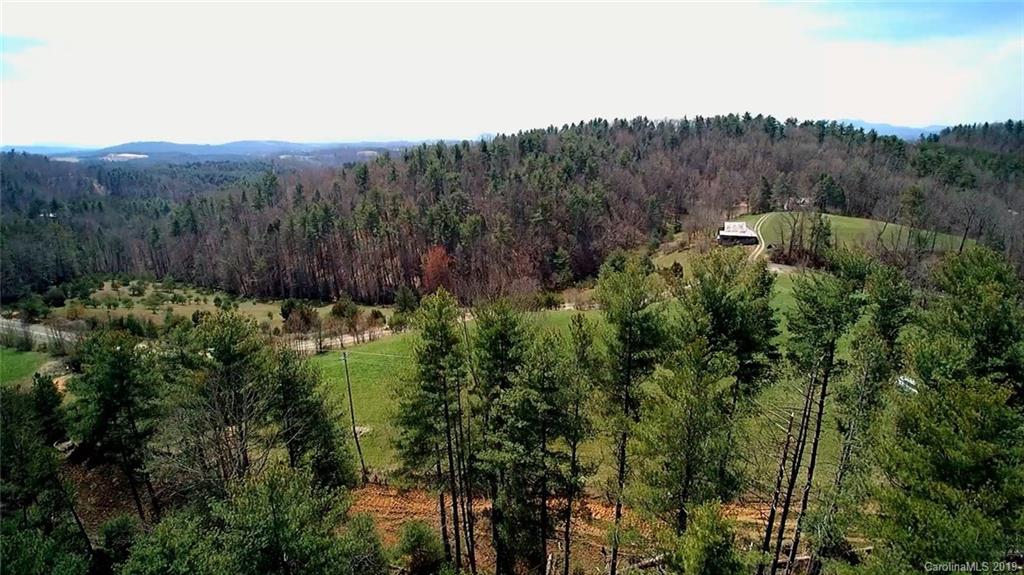 6 Hughey Road, Unit 6 Alexander, NC 28701 - Photo 4 of 8 a view of a lush green forest with a mountain