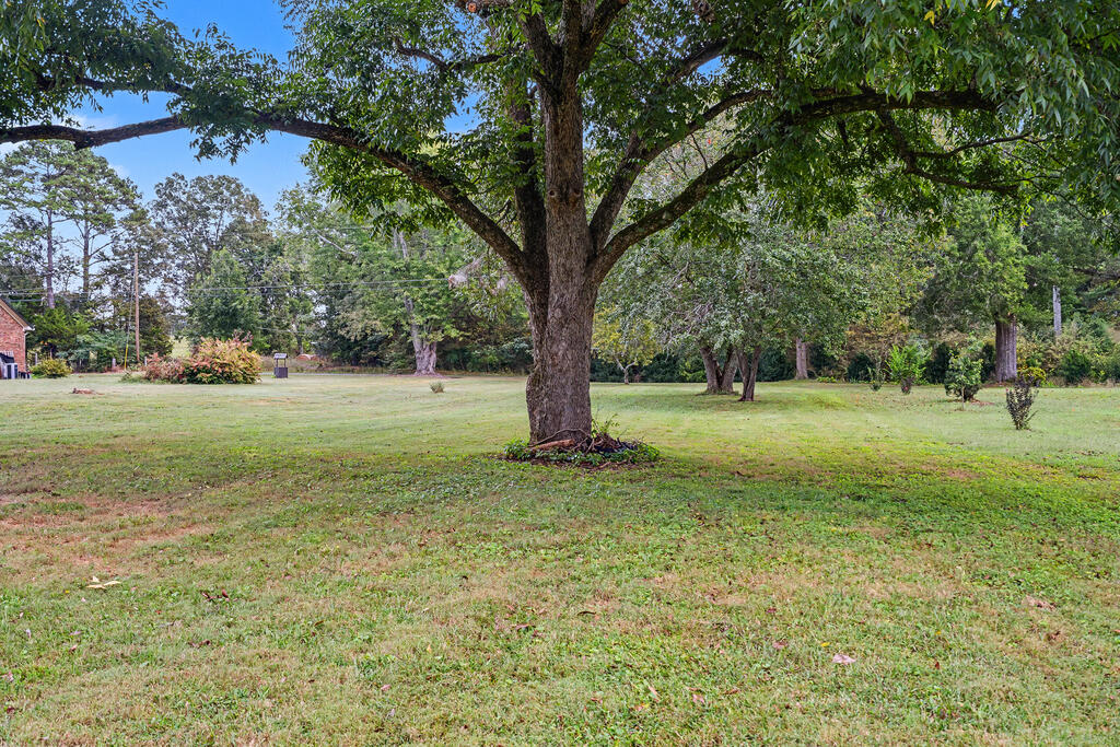 0 Carl Wood Road Rocky Face, GA 30740 - Photo 6 of 58 Gallery Image 6