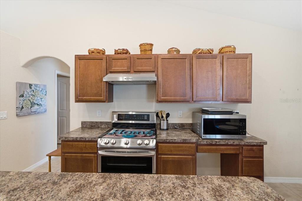 13407 Bondstone Street Spring Hill, FL 34609 - Photo 25 of 48