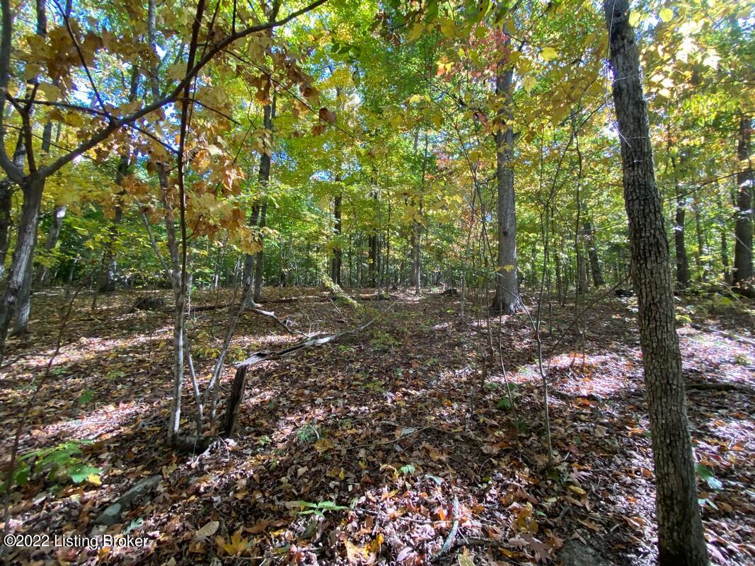 L11 Ted Logsdon Road Clarkson, KY 42726 - Photo 11 of 12 River View 1013222106
