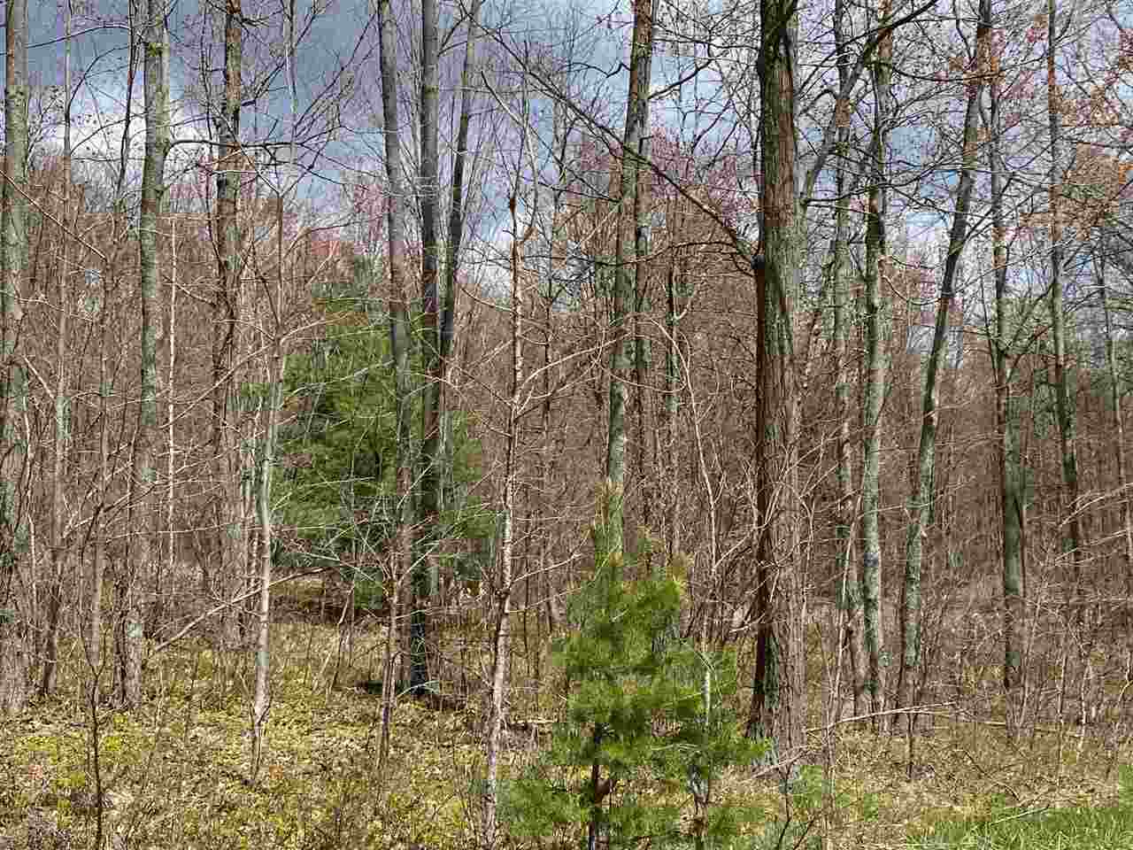 435 East Townline Lake Road Harrison, MI 48625 - Photo 22 of 24