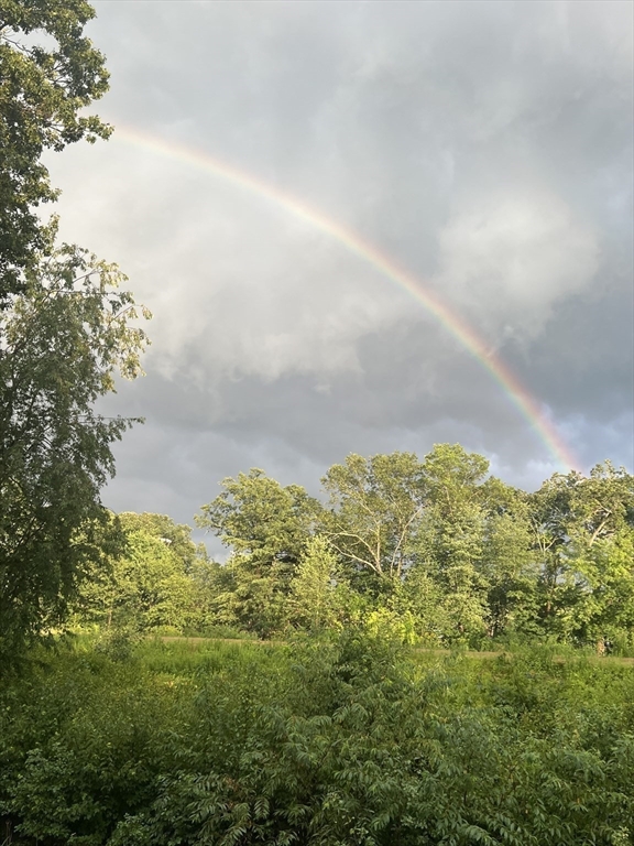 36 Cider Mill Road Framingham, MA 01701 - Photo 34 of 42 a view of a big yard