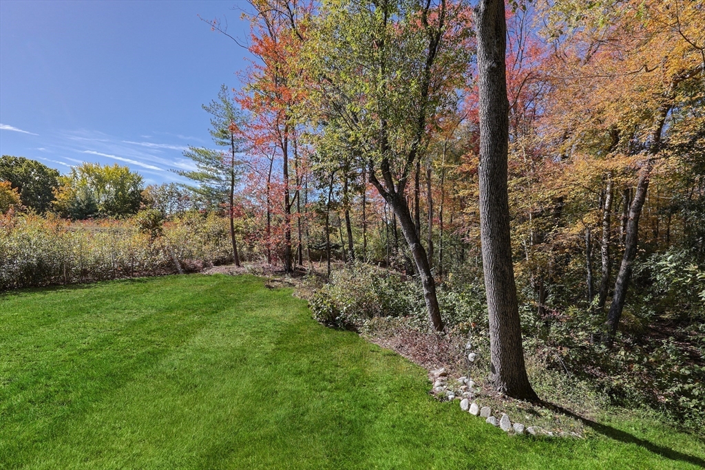 36 Cider Mill Road Framingham, MA 01701 - Photo 37 of 42 a view of backyard with green space
