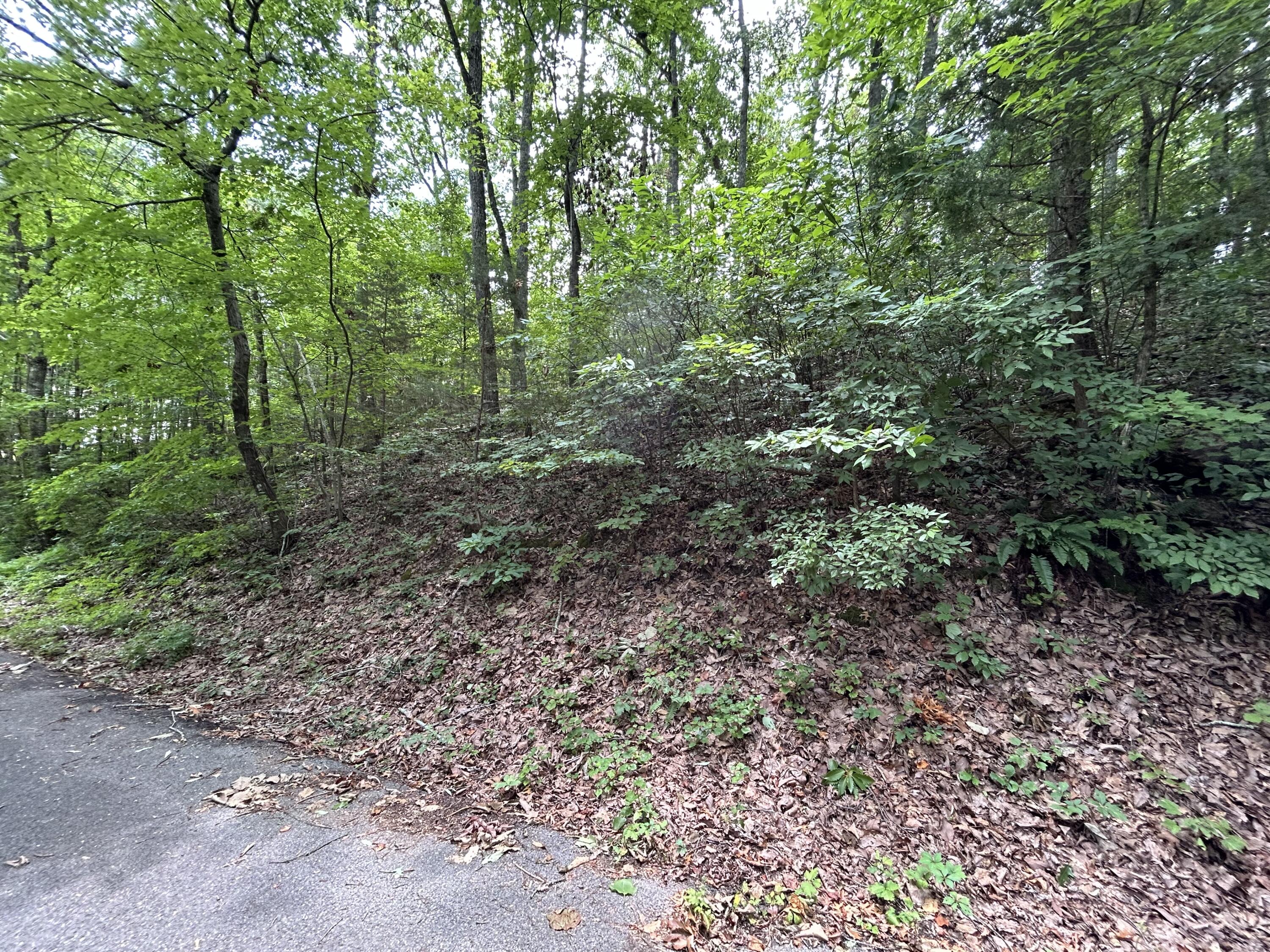 0 Northwest Zion Dr  