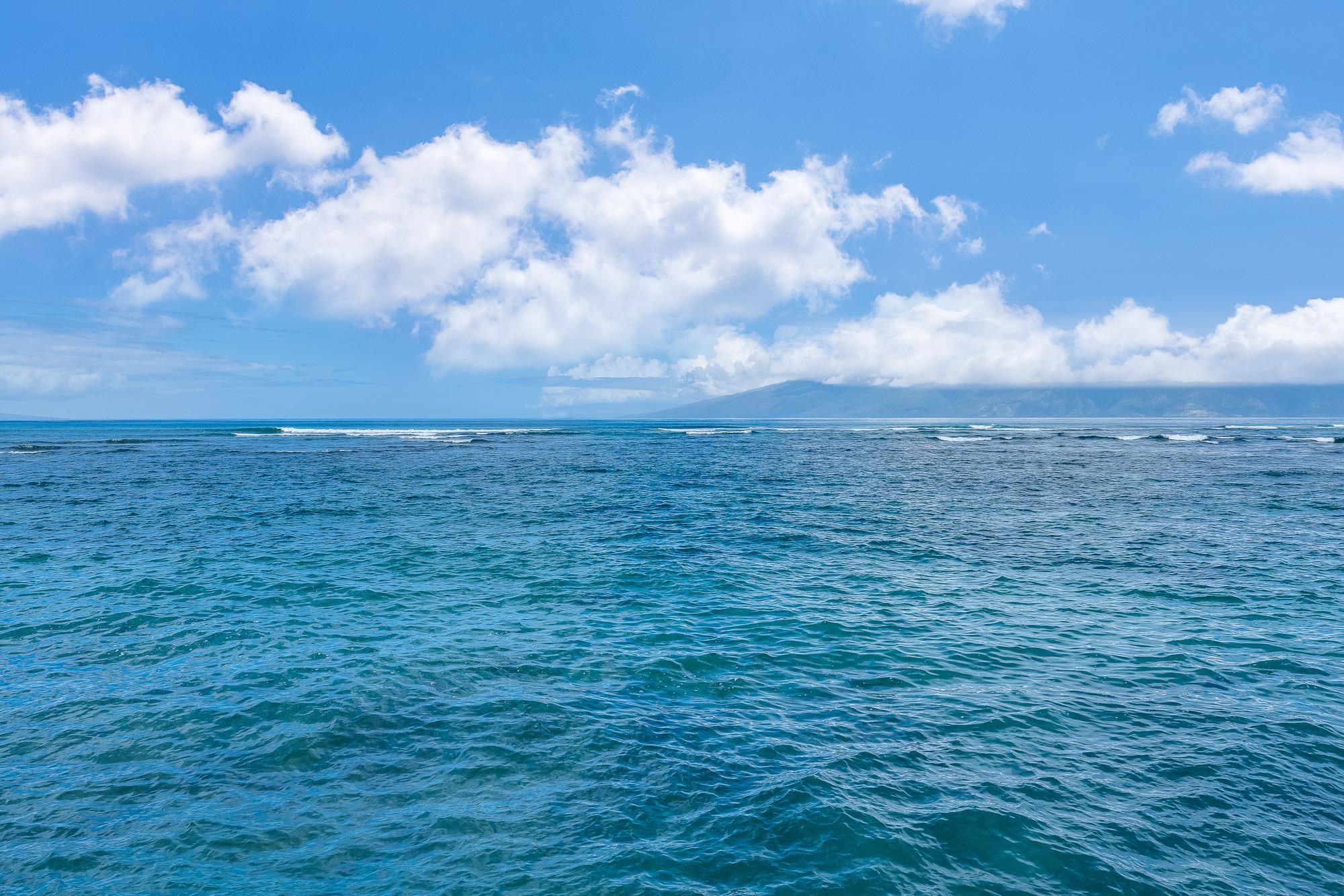 4471 Lower Honoapiilani Road, Unit 118 Lahaina, HI 96761 - Photo 39 of 41 a view of a big yard
