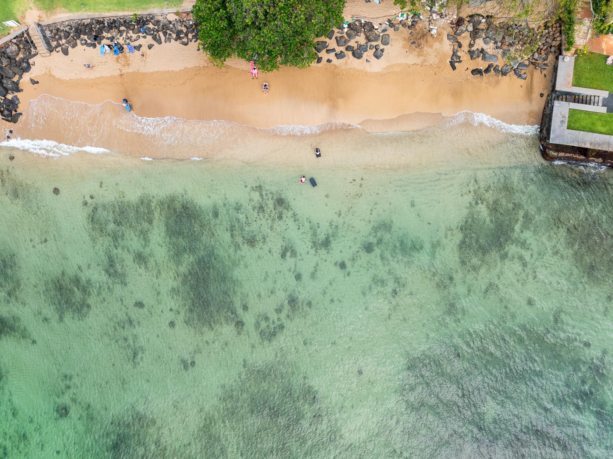 4471 Lower Honoapiilani Road, Unit 118 Lahaina, HI 96761 - Photo 5 of 41 a view of a yard with an trees