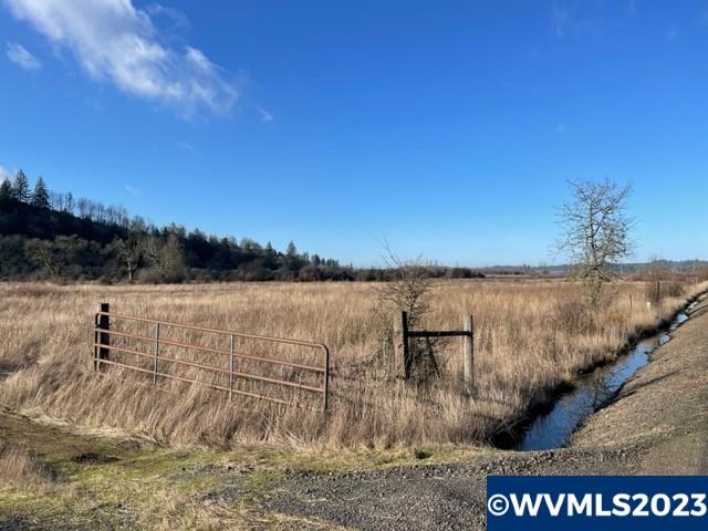 Tl # 844341 Richardson Gap Road Scio, OR 97374 - Photo 2 of 14