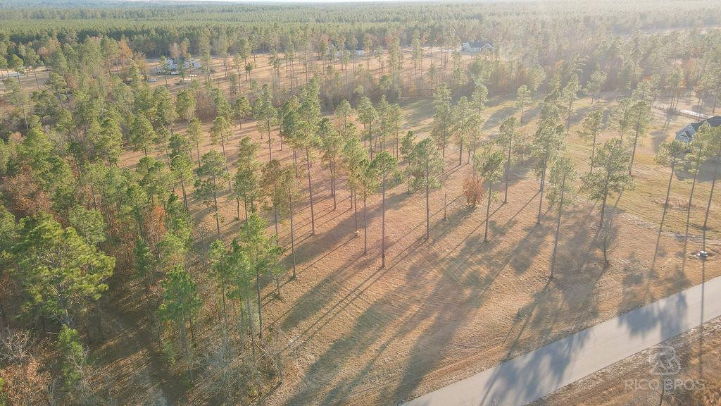 Lot 28 Rembert Place Aiken, SC 29803 - Photo 10 of 18