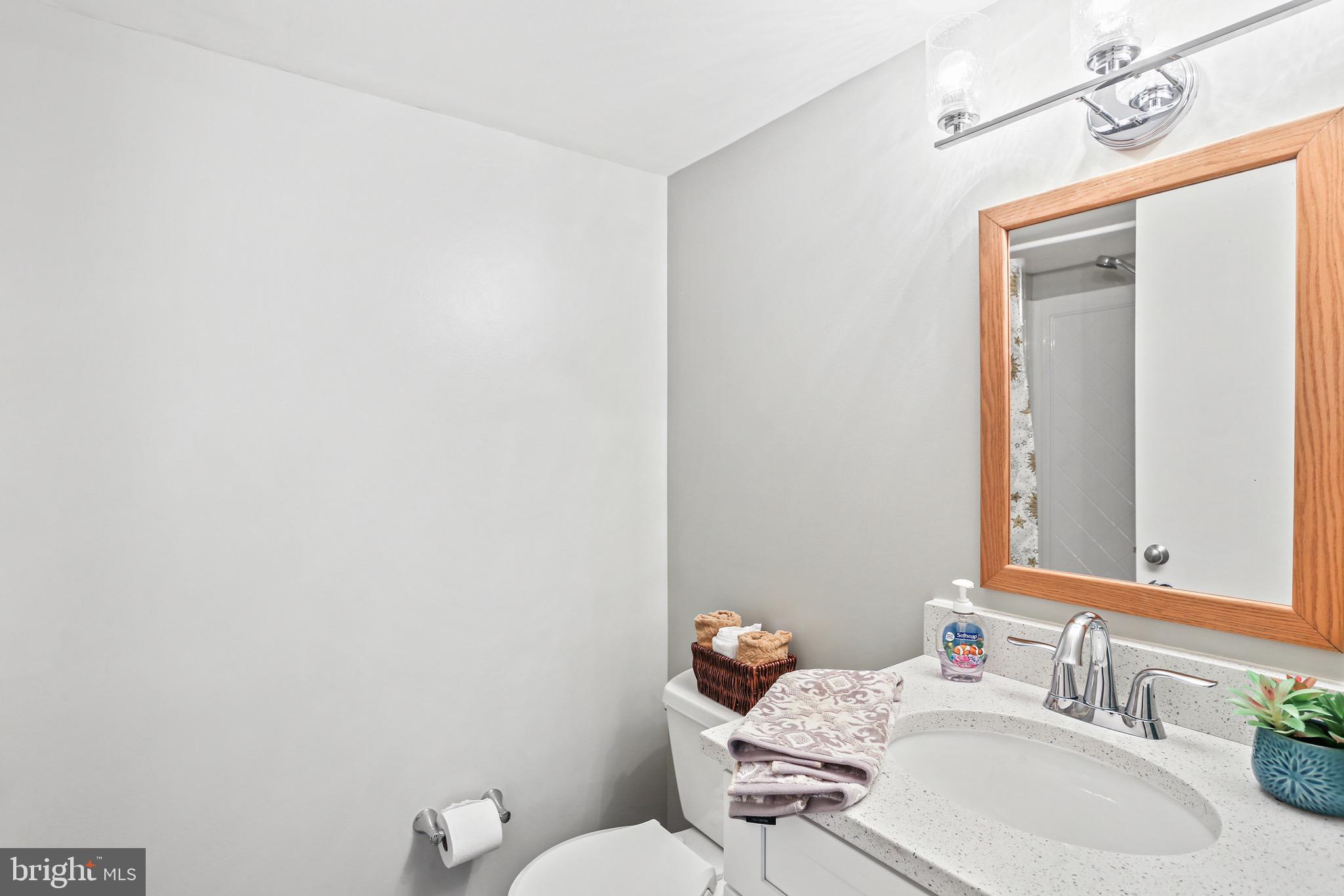 1218 Leeds Terrace Halethorpe, MD 21227 - Photo 27 of 31 Newer full bath with shower in LL