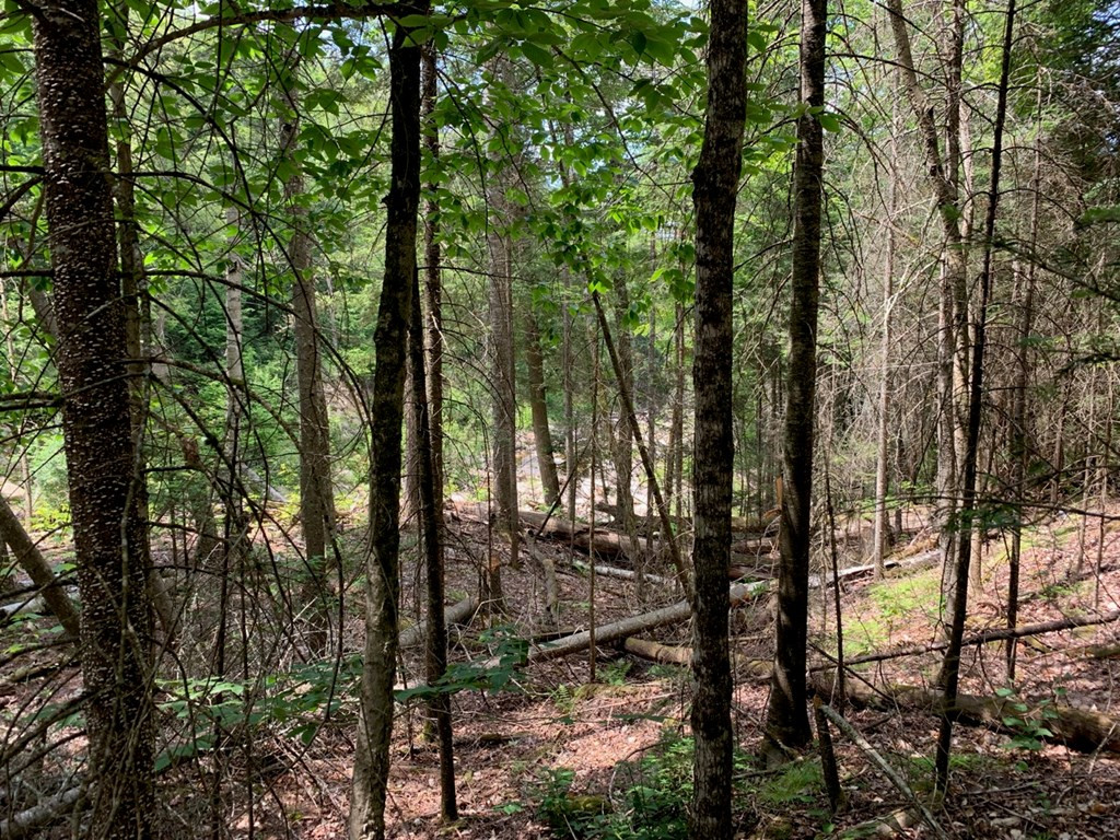 Lot 1 Hurricane Road Keene, NY 12942 - Photo 3 of 4 Gallery Image 3