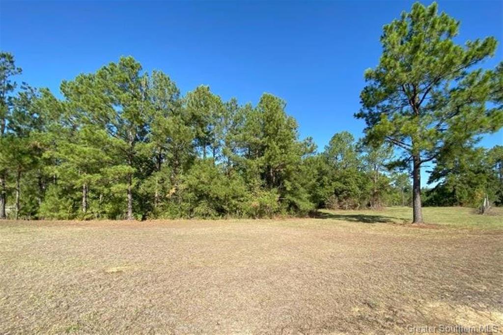 404 Lum Harper Road Deridder, LA 70634 - Photo 19 of 35