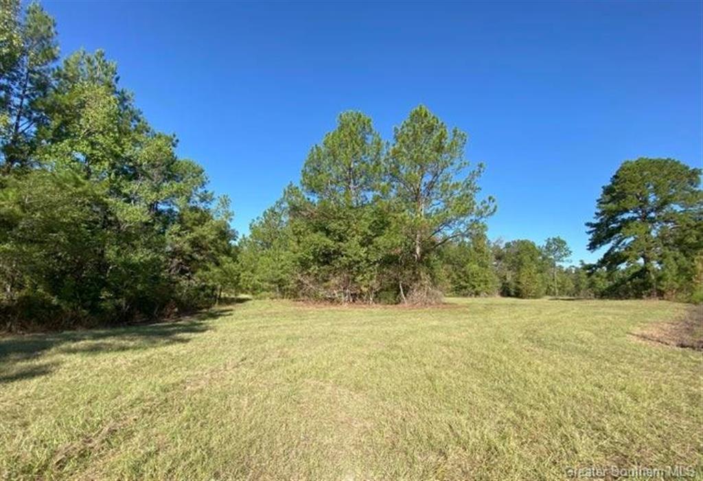 404 Lum Harper Road Deridder, LA 70634 - Photo 20 of 35