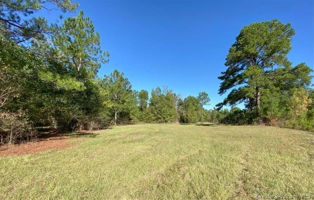 404 Lum Harper Road Deridder, LA 70634 - Photo 21 of 35