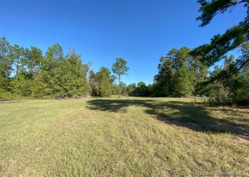 404 Lum Harper Road Deridder, LA 70634 - Photo 23 of 35