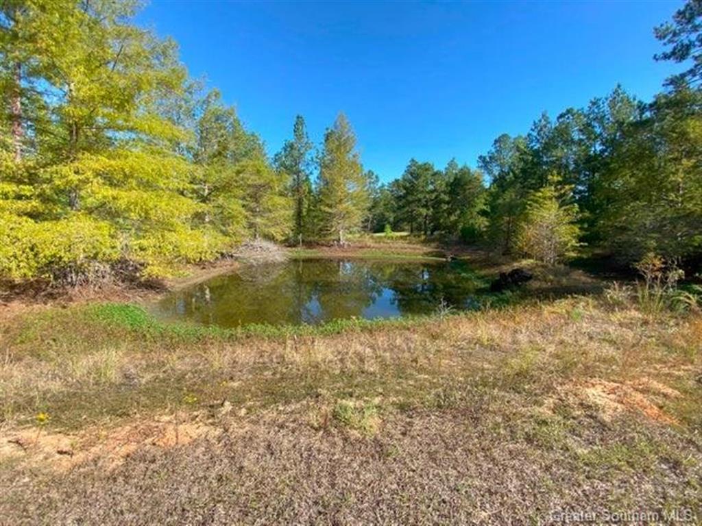 404 Lum Harper Road Deridder, LA 70634 - Photo 34 of 35