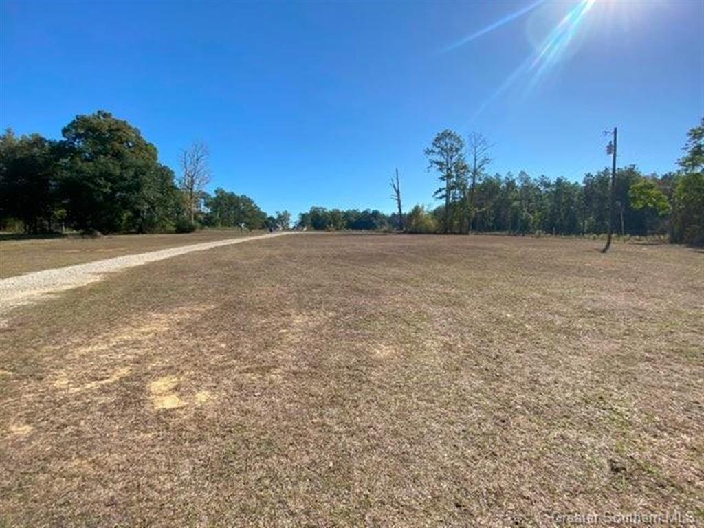 404 Lum Harper Road Deridder, LA 70634 - Photo 8 of 35