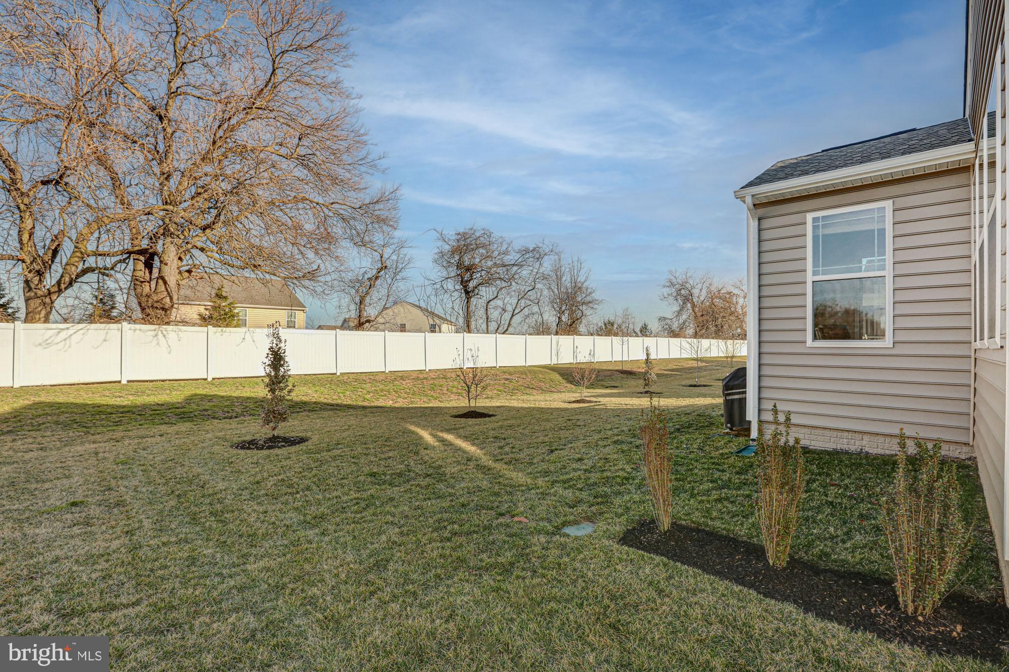 507 Cherry Bark Road Middletown, DE 19709 - Photo 72 of 81 expansive private backyard