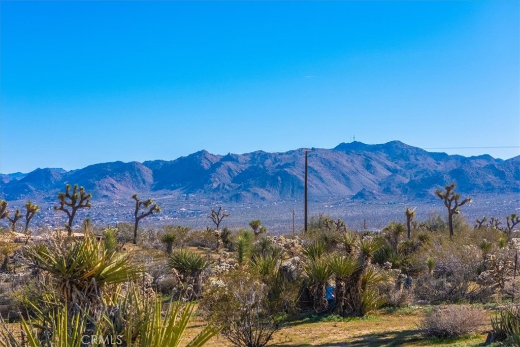 5437 Paradise View Road Yucca Valley, CA 92284 - Photo 41 of 75 Gallery Image 41