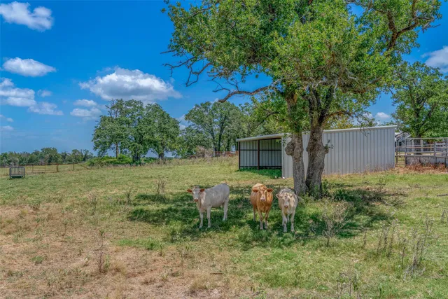 $2,359,000 | 798 Lcr 703, Kosse, TX 76653