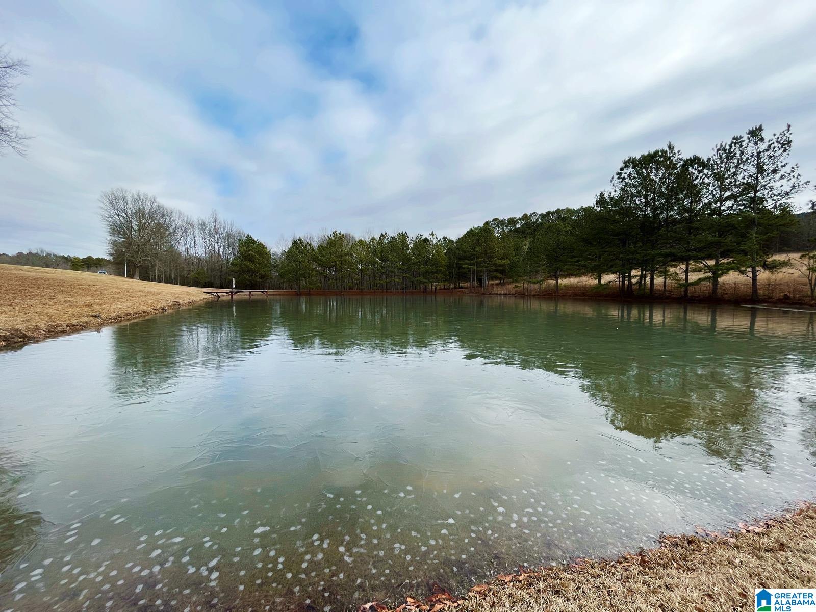 9286 Lay Springs Road Gadsden, AL 35904 - Photo 38 of 43