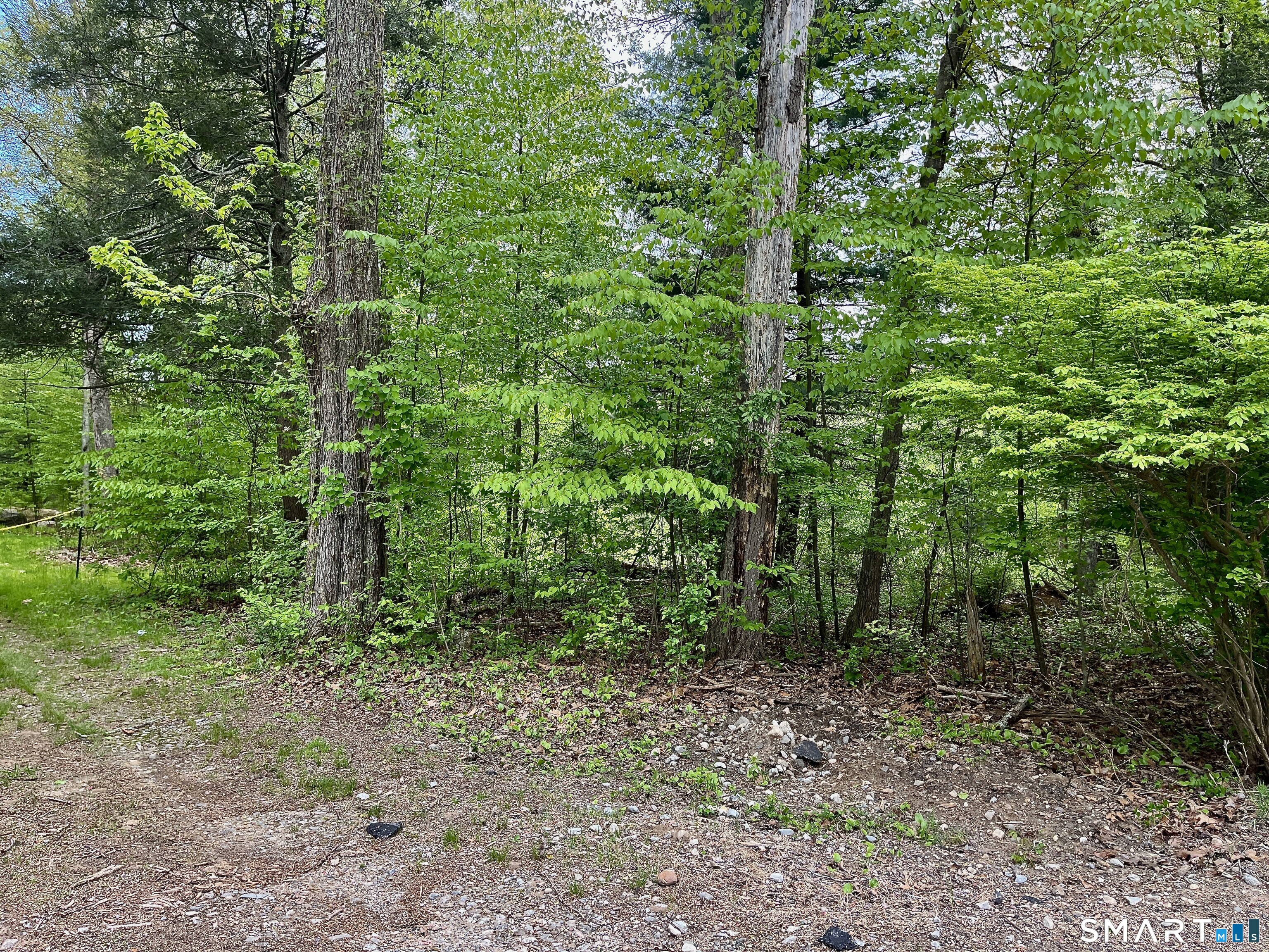 Meadow Brook Road Amston, CT 06231 - Photo 4 of 14 a view of a forest with trees