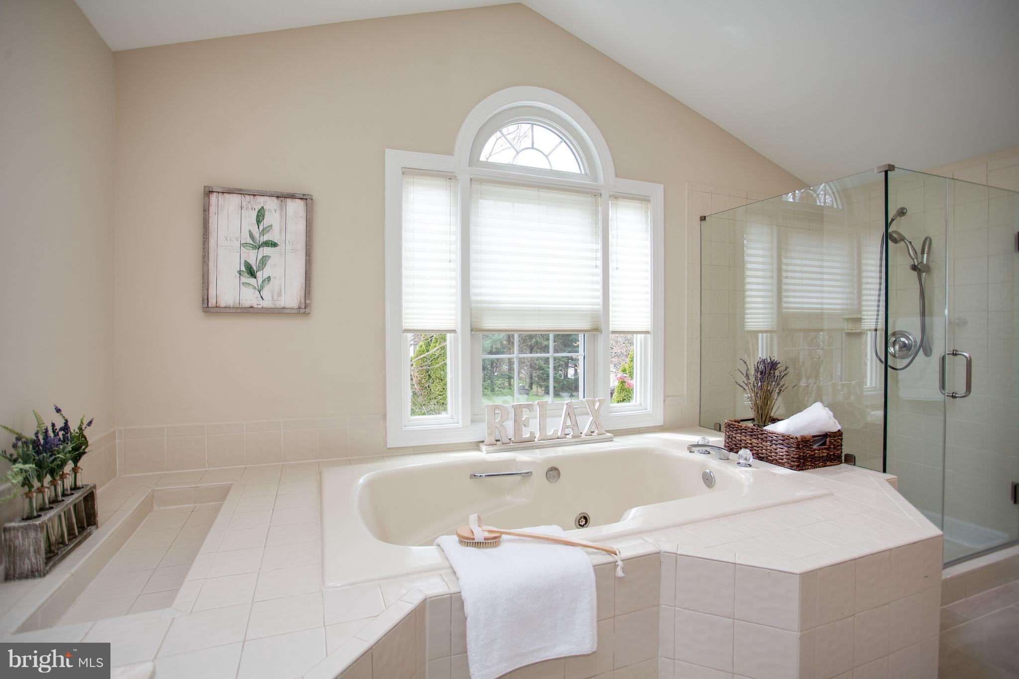 2861 Chain Bridge Road Vienna, VA 22181 - Photo 20 of 30 Master Bath: Luxury Retreat