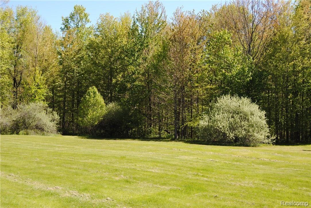 3811 Hurds Corner Road Mayville, MI 48744 - Photo 11 of 13 Backyard Hurds Corner Mayville MI (21).JPG