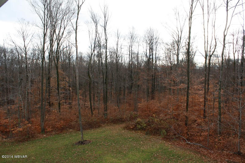 823 Hollow Road Mansfield, PA 16933 - Photo 11 of 23 125057-11