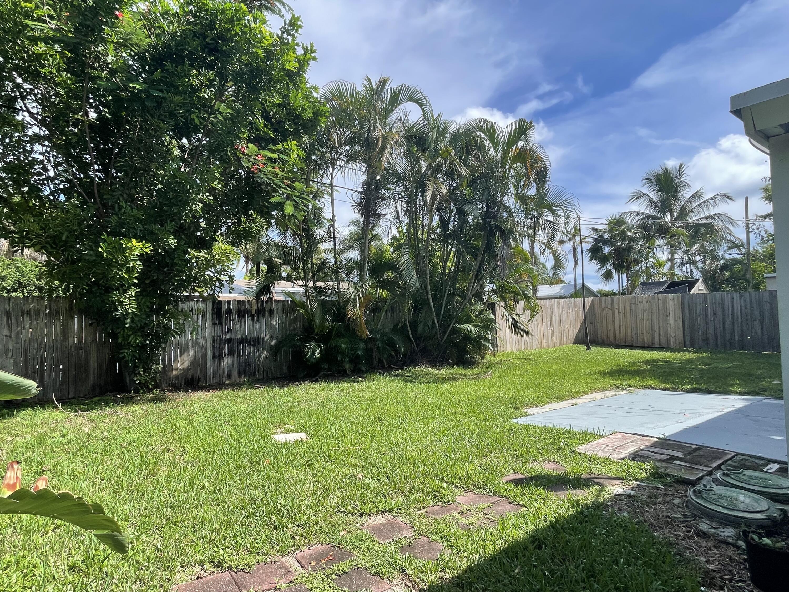 backyard