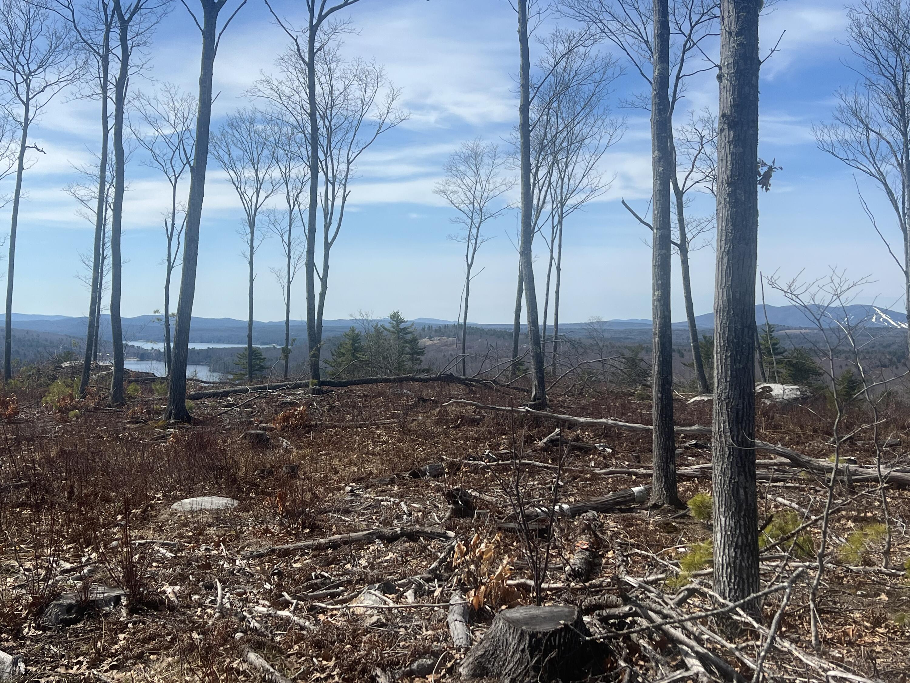 Tbd Deer Hill Road Harrison, ME 04040 - Photo 10 of 14 IMG_0293